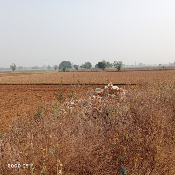 5 Bigha Agricultural/Farm Land for Sale in Kishangarh, Alwar