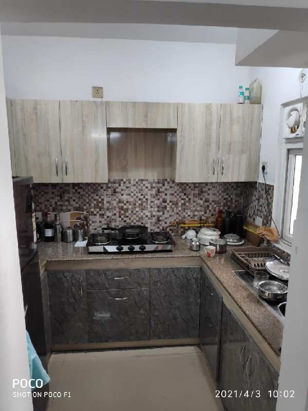 3 BHK Flats & Apartments for Sale in Sector 50, Noida (1625 Sq.ft.)
