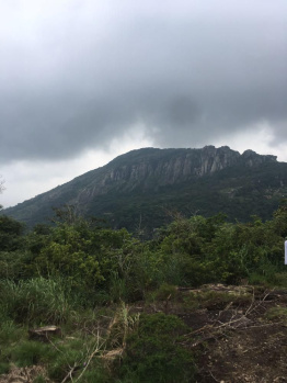 Property for sale in Nagercoil, Kanyakumari