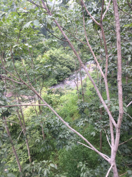 Property for sale in Nagercoil, Kanyakumari
