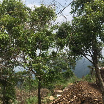 Property for sale in Nagercoil, Kanyakumari