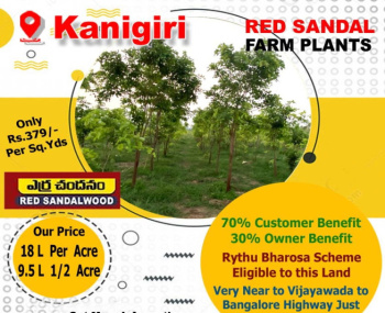 Property for sale in Narayankhed, Sangareddy