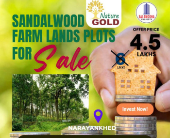 Property for sale in Narayankhed, Sangareddy