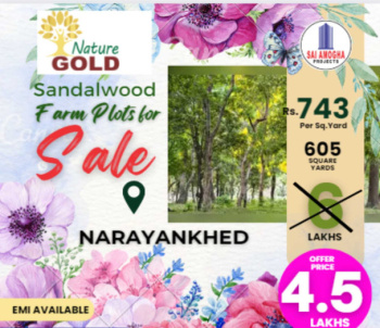 Property for sale in Narayankhed, Sangareddy