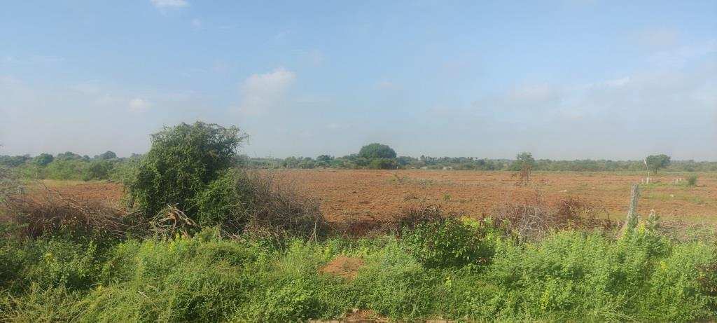 100 Cent Agricultural/Farm Land for Sale in Thirupuvanam Sivaganga, Sivaganga