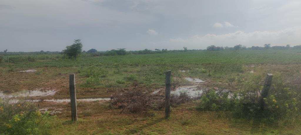 100 Cent Agricultural/Farm Land for Sale in Thirupuvanam Sivaganga, Sivaganga