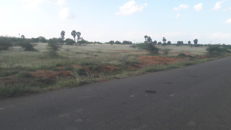 1 Acre Agricultural/Farm Land for Sale in Tamil Nadu