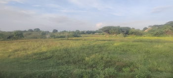 1 Acre Agricultural/Farm Land for Sale in Manamadurai, Sivaganga