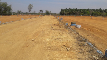 1 Cent Commercial Lands /Inst. Land for Sale in Thiruvathavoor, Madurai