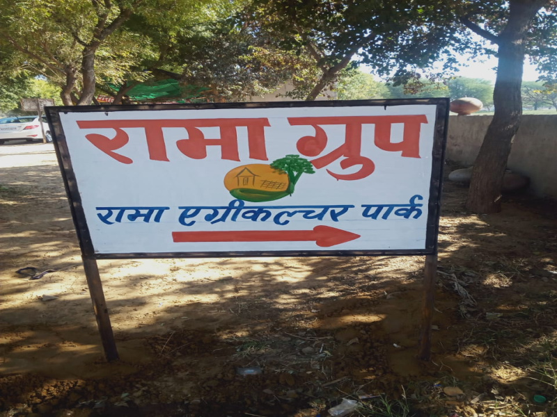 600 sq. Yards Farm lands for sale in Ringas road (Rajsthan)