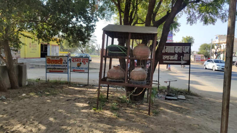 600 sq. Yards Farm lands for sale in Ringas road (Rajsthan)