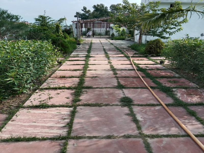 1000 sq.ft Farm House for Sale in Garhmukteshwar, U.P.