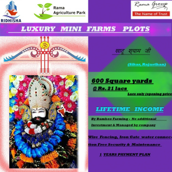 600 sq. Yards Farm lands for sale in Near by Khatu Shyam ji (Rajsthan)