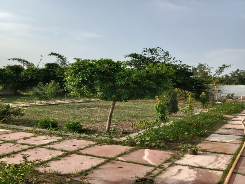 1000 sq. Y Farm Land for Sale in Garhmukteshwar, Hapur