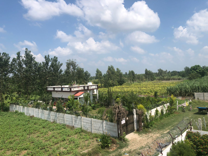 1000 sq. Y Farm Land for Sale in Garhmukteshwar, Hapur