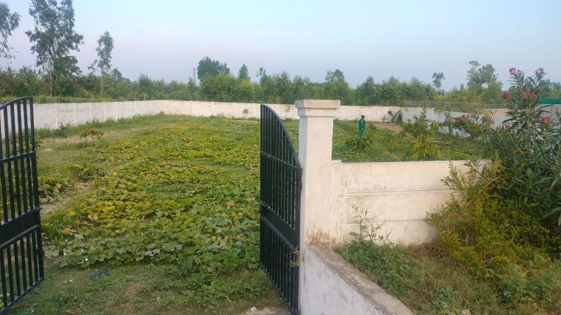 1000 Sq Yard Farm Land For Sale In Garhmukteshwar
