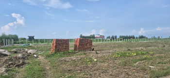 100 Sq. Yards Residential Plot for Sale in Bhimtal, Nainital