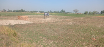 1000 sqft Residential Plot for Sale Approved