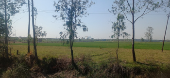 Property for sale in Gosainganj, Lucknow