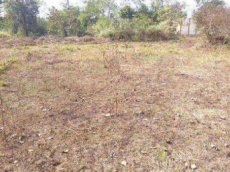 Residential Plot for Sale (300 Sq. Yards)