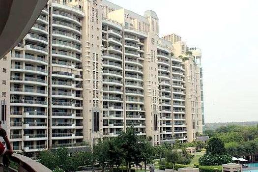 Rs. 2.5 lakh Rent, DLF The Aralias, Sector-42, Gurgaon