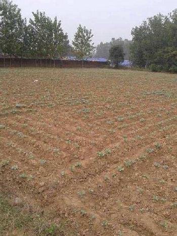 Residential Land for Sale in Anant Raj Estates, Sector-63a Gurgaon