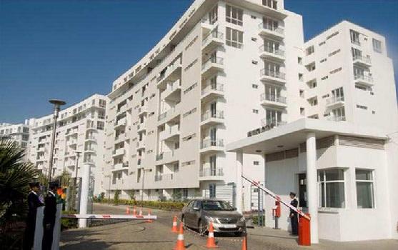 4 BHK Residential Apartment Vatika City , Sector 49, gurgaon