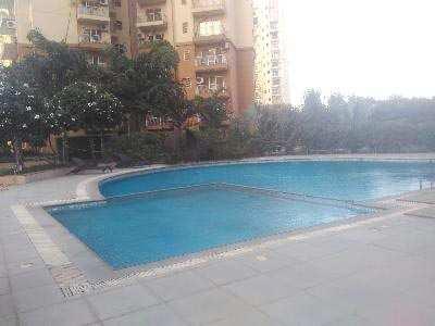 3 BHK Flat for Sale In Gurgaon