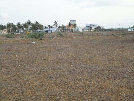 Residential Plot for Sale in Sushant Lok 2, Gurgaon (500 Sq. Yards)
