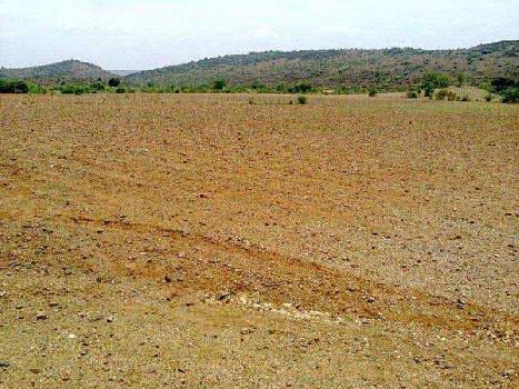 Residential Plot for Sale in South City 2, Gurgaon (179 Sq. Yards)
