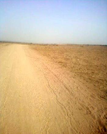 Residential Plot for Sale in Sushant Lok 2, Gurgaon (100 Sq. Yards)