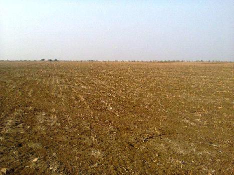 Residential Plot for Sale in Sushant Lok 2, Gurgaon (183 Sq. Yards)