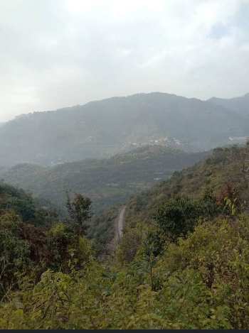540 Sq.ft. Residential Plot for Sale in Kasauli, Solan (300 Sq. Yards)