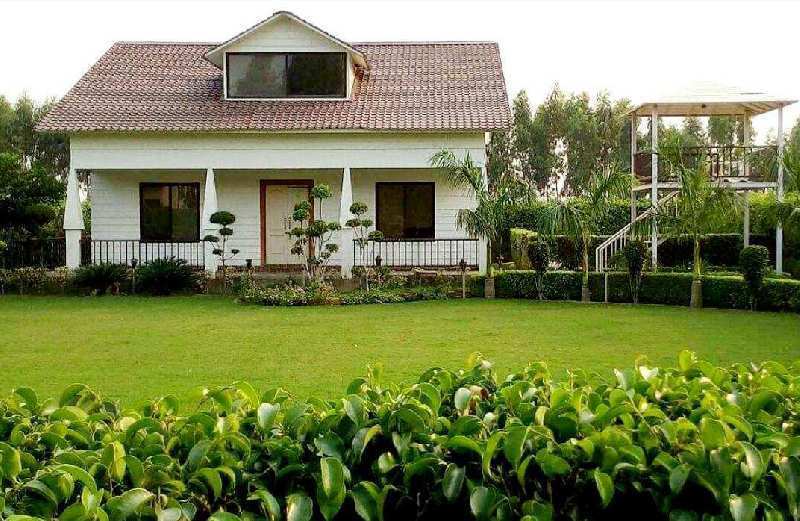 3 BHK Farm House for Sale in Sector 135, Noida (950 Sq.ft.)