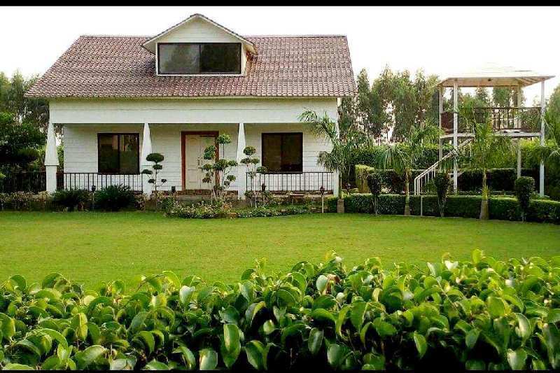 2 BHK Farm House for Sale in Sector 135, Noida (1000 Sq.ft.)