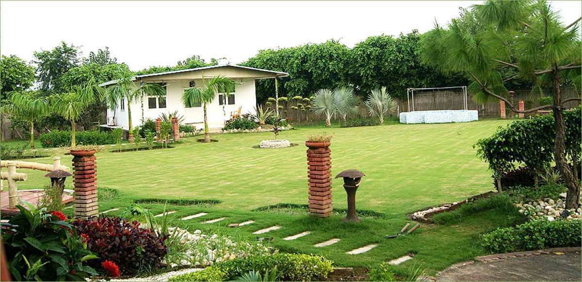 3 BHK Farm House for Sale in Sector 135, Noida (1200 Sq. Yards)