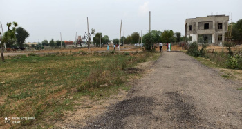1000 Sq.ft. Residential Plot for Sale in Dholera, Ahmedabad