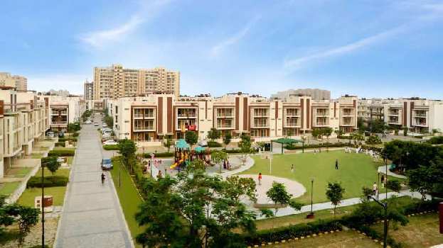 3 BHK Flats & Apartments for Sale in Sector 51, Gurgaon (2100 Sq.ft.)