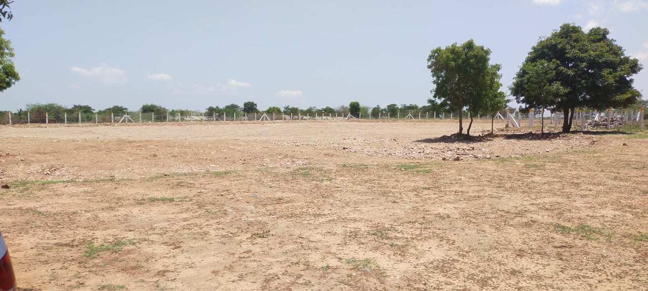 800 Acre Agricultural/Farm Land for Sale in Khambhat, Anand