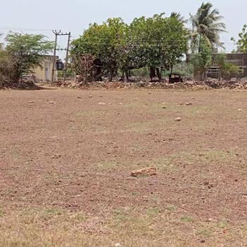 3 Bigha Agricultural/Farm Land for Sale in Veraval, Gir Somnath