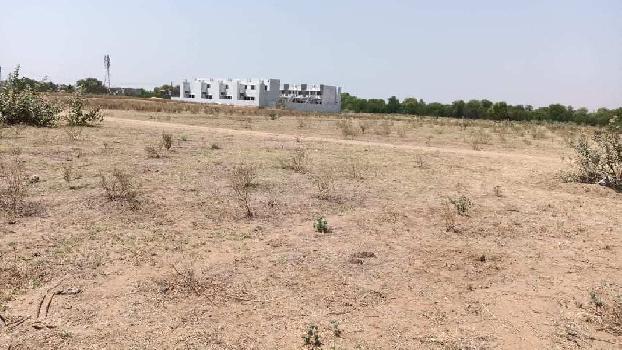 4 Bigha Agricultural/Farm Land for Sale in Kadi, Mehsana