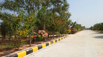 194 Sq. Yards Residential Plot for Sale in Shamirpet, Hyderabad