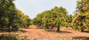 Farm House for Sale in Orvakal, Kurnool (144 Sq. Yards)