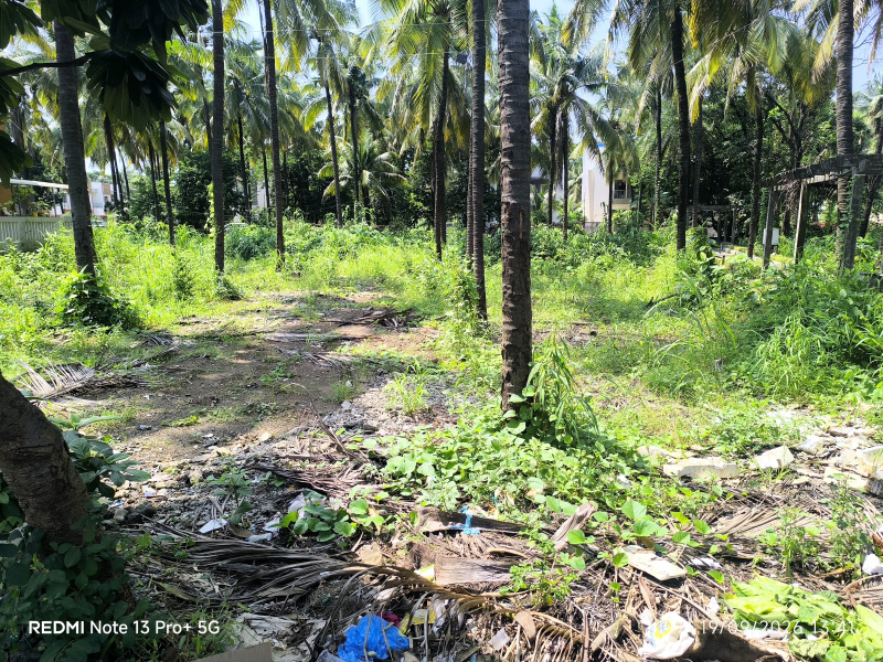 RESIDENTAL PLOT AVAILABLE FOR SELL