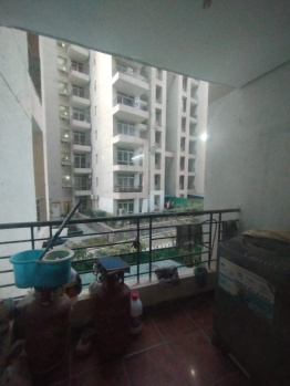 3 BHK Flats & Apartments for Sale in Sector 92, Gurgaon (1572 Sq.ft.)