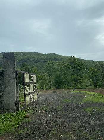 2500 Sq. Meter Agricultural/Farm Land for Sale in Karjat, Raigad