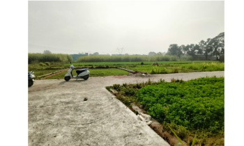 115 Sq. Yards Residential Plot for Sale in Resham Majri, Dehradun