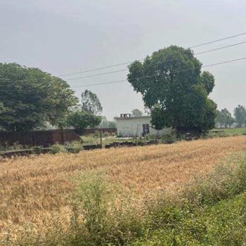 5.5 Acre Agricultural/Farm Land For Sale In Lansdowne, Pauri Garhwal