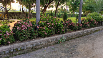 Property for sale in Kamal Vihar, Raipur