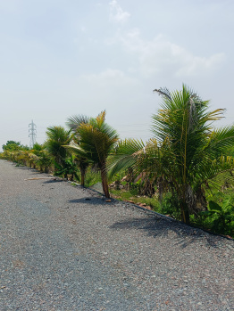 Price location prime property prime plot